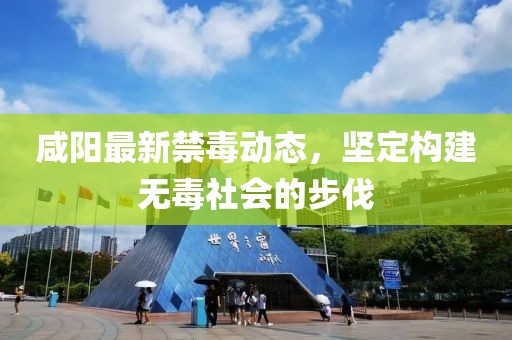 咸陽(yáng)最新禁毒動(dòng)態(tài)，堅(jiān)定構(gòu)建無(wú)毒社會(huì)的步伐