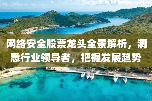 網(wǎng)絡(luò)安全股票龍頭全景解析，洞悉行業(yè)領(lǐng)導(dǎo)者，把握發(fā)展趨勢(shì)