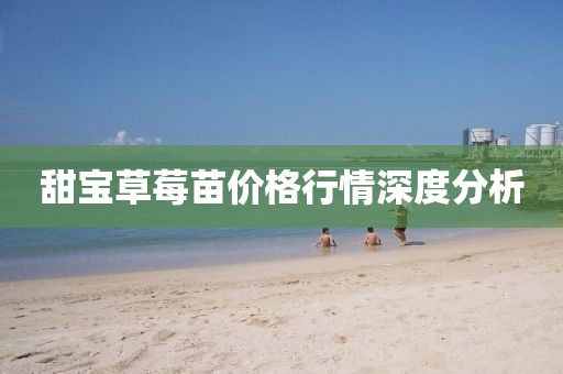 甜寶草莓苗價格行情深度分析