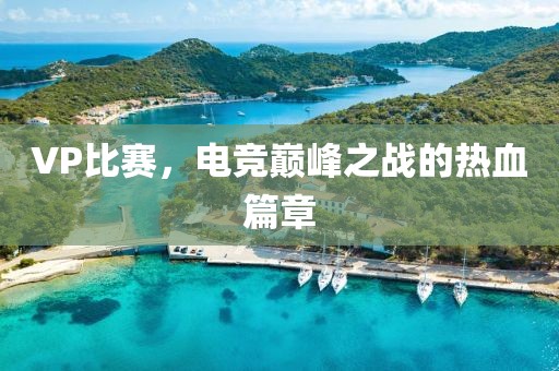 VP比賽，電競(jìng)巔峰之戰(zhàn)的熱血篇章