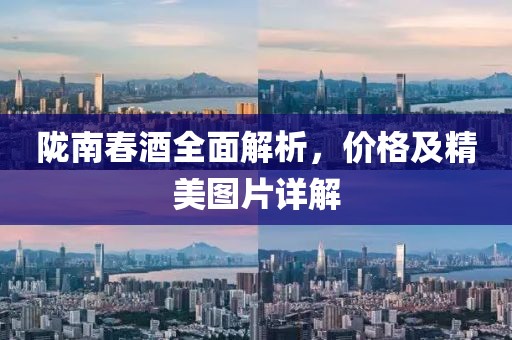 隴南春酒全面解析，價格及精美圖片詳解