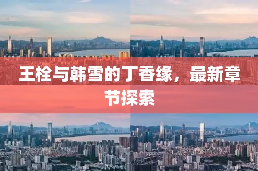 王栓與韓雪的丁香緣，最新章節(jié)探索
