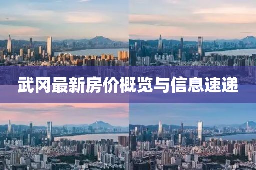 武岡最新房價概覽與信息速遞