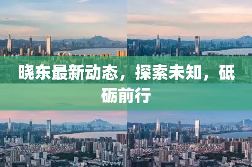 曉東最新動態(tài)，探索未知，砥礪前行