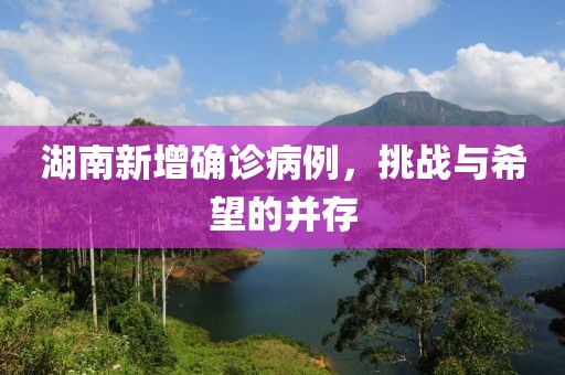 湖南新增確診病例，挑戰(zhàn)與希望的并存