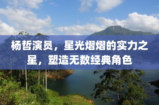 楊哲演員，星光熠熠的實力之星，塑造無數(shù)經(jīng)典角色