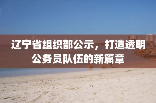 遼寧省組織部公示，打造透明公務(wù)員隊伍的新篇章