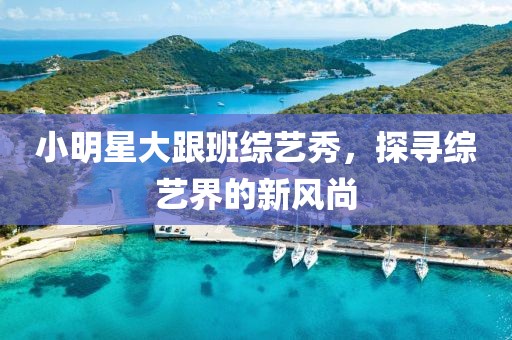 小明星大跟班綜藝秀，探尋綜藝界的新風尚