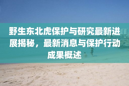 野生東北虎保護與研究最新進展揭秘，最新消息與保護行動成果概述