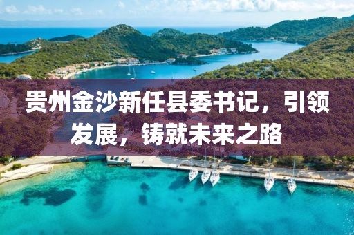 貴州金沙新任縣委書(shū)記，引領(lǐng)發(fā)展，鑄就未來(lái)之路