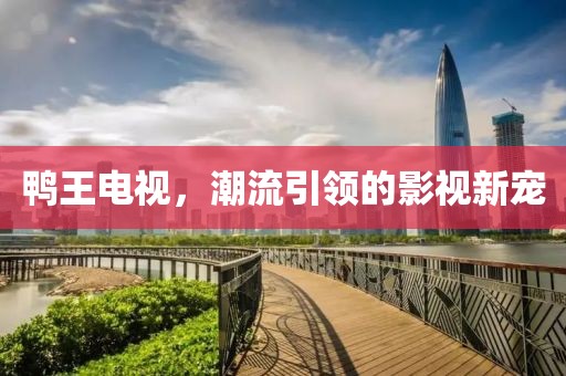 鴨王電視，潮流引領(lǐng)的影視新寵