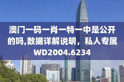 澳門一碼一肖一特一中是公開的嗎,數(shù)據(jù)詳解說明，私人專屬WD2004.6234