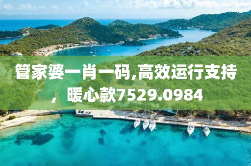 管家婆一肖一碼,高效運行支持，暖心款7529.0984