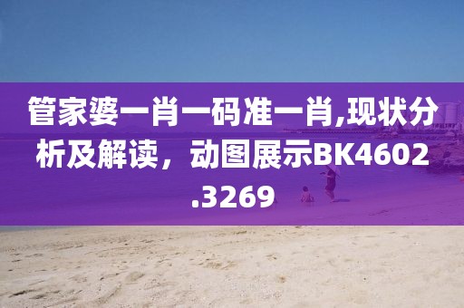 管家婆一肖一碼準一肖,現(xiàn)狀分析及解讀，動圖展示BK4602.3269