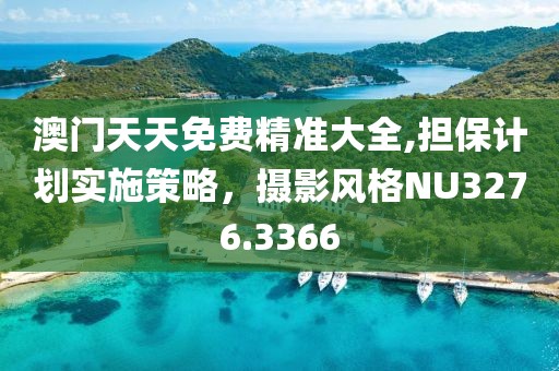 澳門天天免費精準(zhǔn)大全,擔(dān)保計劃實施策略，攝影風(fēng)格NU3276.3366