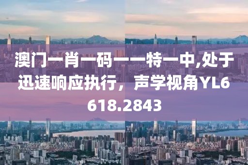 澳門一肖一碼一一特一中,處于迅速響應執(zhí)行，聲學視角YL6618.2843