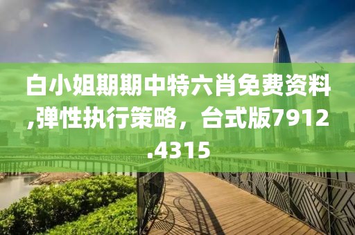 白小姐期期中特六肖免費資料,彈性執(zhí)行策略，臺式版7912.4315