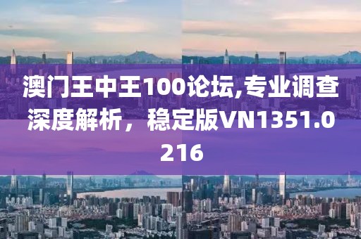 澳門王中王100論壇,專業(yè)調(diào)查深度解析，穩(wěn)定版VN1351.0216