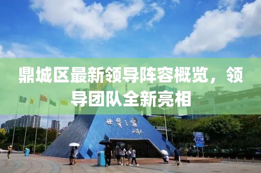 鼎城區(qū)最新領(lǐng)導(dǎo)陣容概覽，領(lǐng)導(dǎo)團(tuán)隊(duì)全新亮相