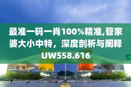 最準(zhǔn)一碼一肖100%精準(zhǔn),管家婆大小中特，深度剖析與闡釋UW558.616
