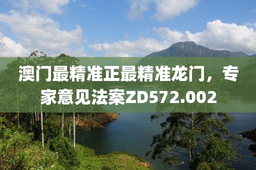 澳門最精準(zhǔn)正最精準(zhǔn)龍門，專家意見法案ZD572.002
