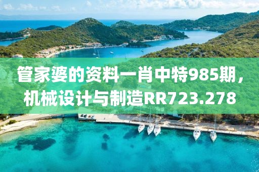 管家婆的資料一肖中特985期，機械設計與制造RR723.278