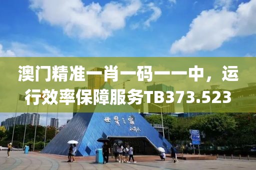 澳門精準(zhǔn)一肖一碼一一中，運(yùn)行效率保障服務(wù)TB373.523