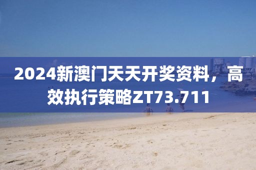 2024新澳門天天開獎資料，高效執(zhí)行策略ZT73.711