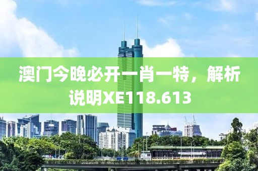 澳門今晚必開一肖一特，解析說明XE118.613