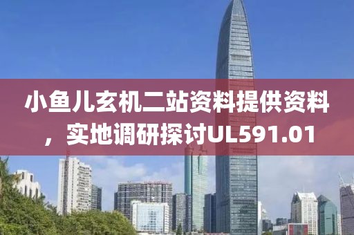 小魚兒玄機(jī)二站資料提供資料，實(shí)地調(diào)研探討UL591.01