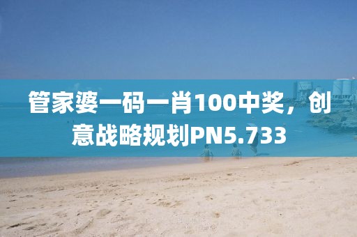 管家婆一碼一肖100中獎(jiǎng)，創(chuàng)意戰(zhàn)略規(guī)劃PN5.733