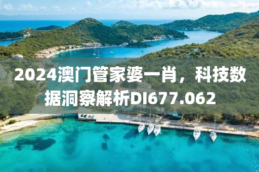 2024澳門(mén)管家婆一肖，科技數(shù)據(jù)洞察解析DI677.062
