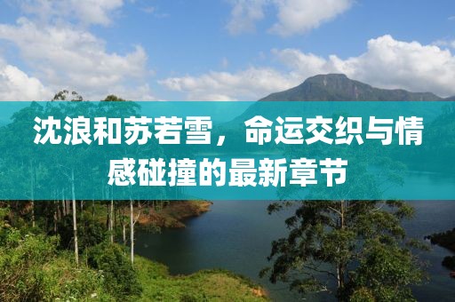 沈浪和蘇若雪，命運(yùn)交織與情感碰撞的最新章節(jié)