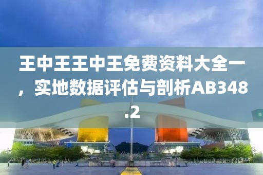王中王王中王免費(fèi)資料大全一，實地數(shù)據(jù)評估與剖析AB348.2