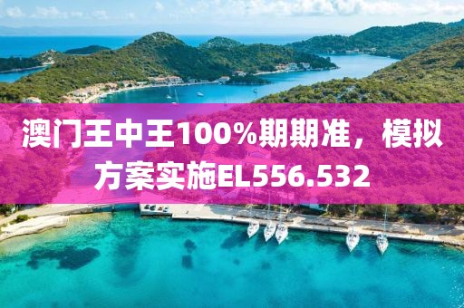 澳門(mén)王中王100%期期準(zhǔn)，模擬方案實(shí)施EL556.532