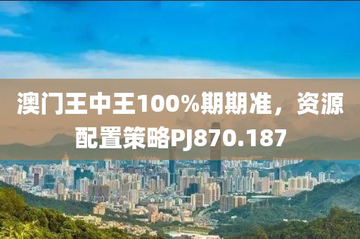 澳門王中王100%期期準(zhǔn)，資源配置策略PJ870.187