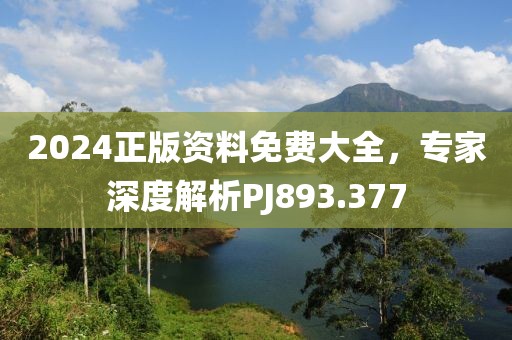 2024正版資料免費(fèi)大全，專家深度解析PJ893.377