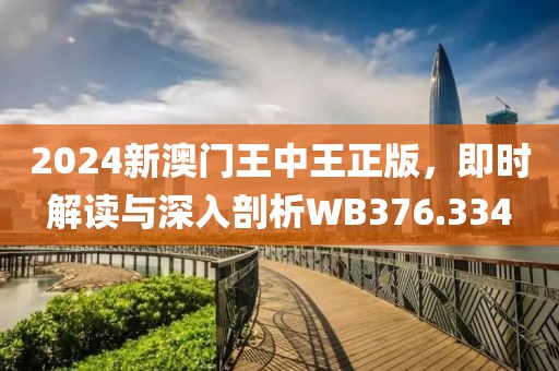 2024新澳門王中王正版，即時(shí)解讀與深入剖析WB376.334