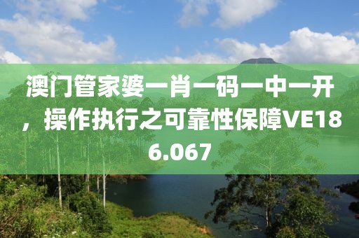 澳門管家婆一肖一碼一中一開，操作執(zhí)行之可靠性保障VE186.067