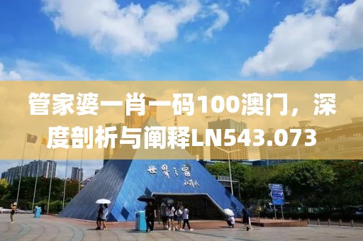 管家婆一肖一碼100澳門，深度剖析與闡釋LN543.073