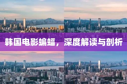 韓國電影蝙蝠，深度解讀與剖析