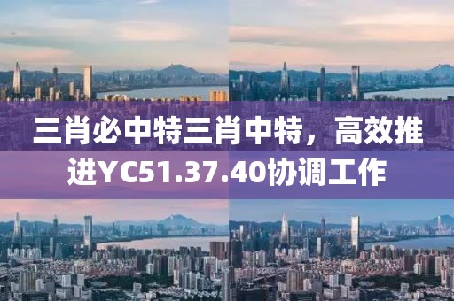 三肖必中特三肖中特，高效推進(jìn)YC51.37.40協(xié)調(diào)工作