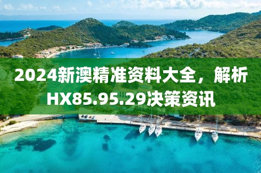 2024新澳精準資料大全，解析HX85.95.29決策資訊