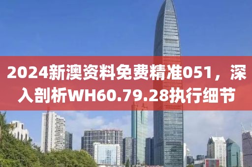 2024新澳資料免費精準(zhǔn)051，深入剖析WH60.79.28執(zhí)行細節(jié)