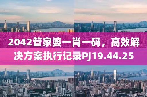 2042管家婆一肖一碼，高效解決方案執(zhí)行記錄PJ19.44.25