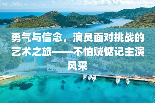 勇氣與信念，演員面對(duì)挑戰(zhàn)的藝術(shù)之旅——不怕賊惦記主演風(fēng)采