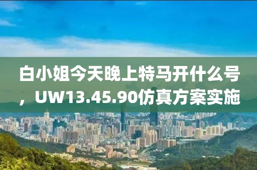 白小姐今天晚上特馬開什么號，UW13.45.90仿真方案實施