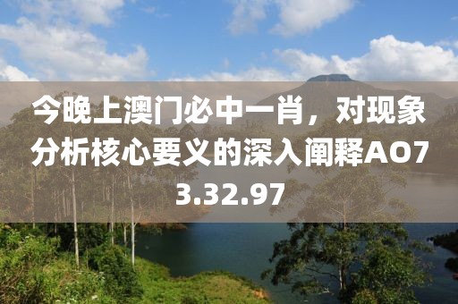 今晚上澳門必中一肖，對現(xiàn)象分析核心要義的深入闡釋AO73.32.97