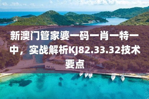 新澳門管家婆一碼一肖一特一中，實戰(zhàn)解析KJ82.33.32技術(shù)要點