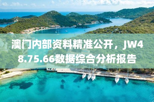 澳門內(nèi)部資料精準公開，JW48.75.66數(shù)據(jù)綜合分析報告
